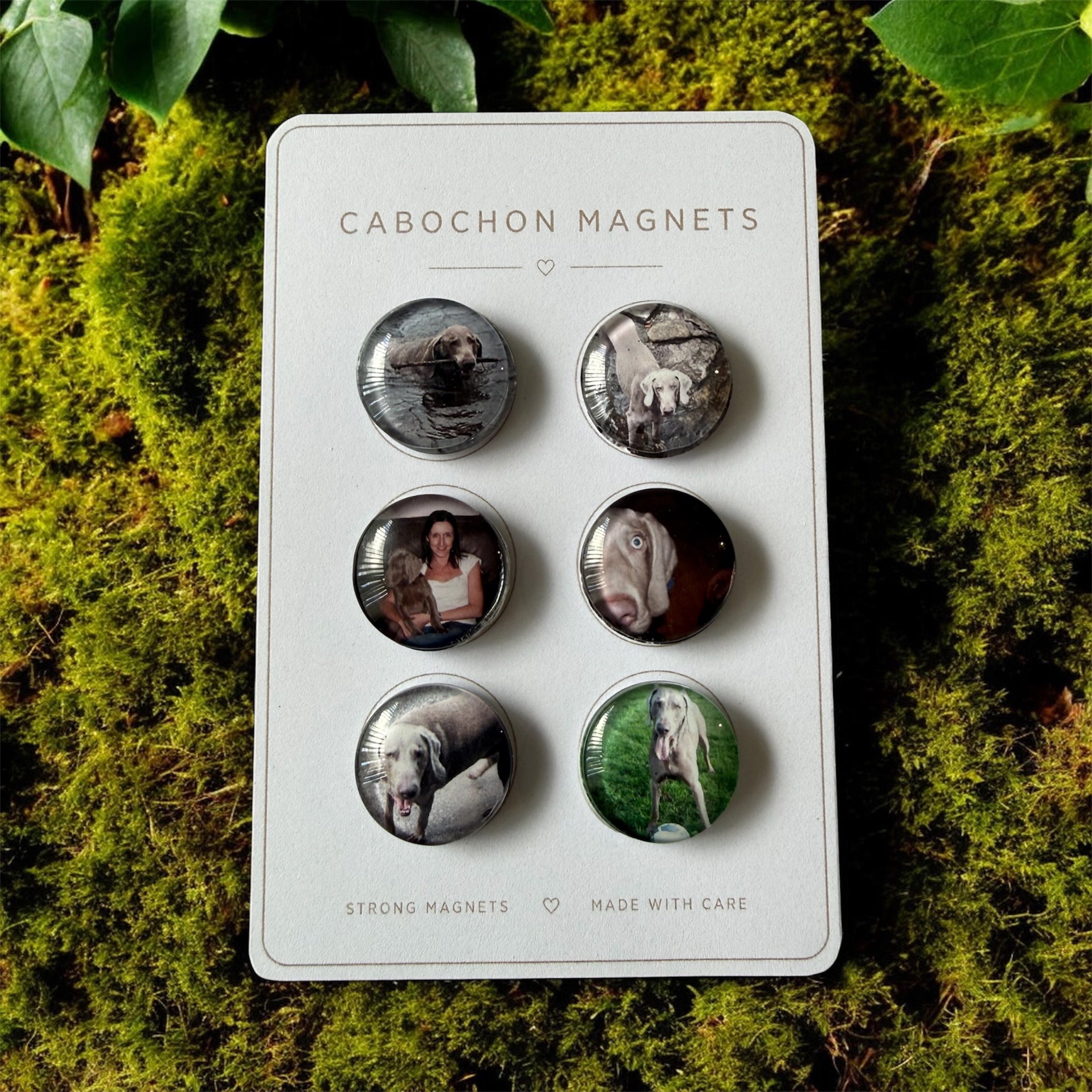 Mini Luxe Magnet Set