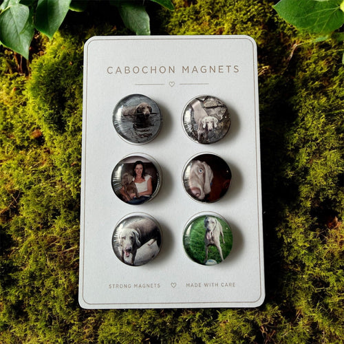 Mini Luxe Magnet Set