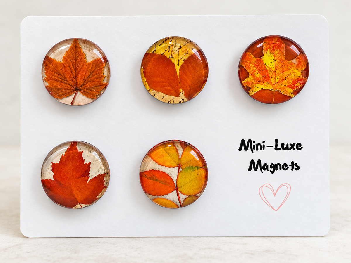 Mini Luxe Magnet Set