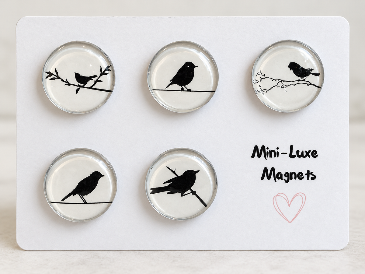 Mini Luxe Magnet Set