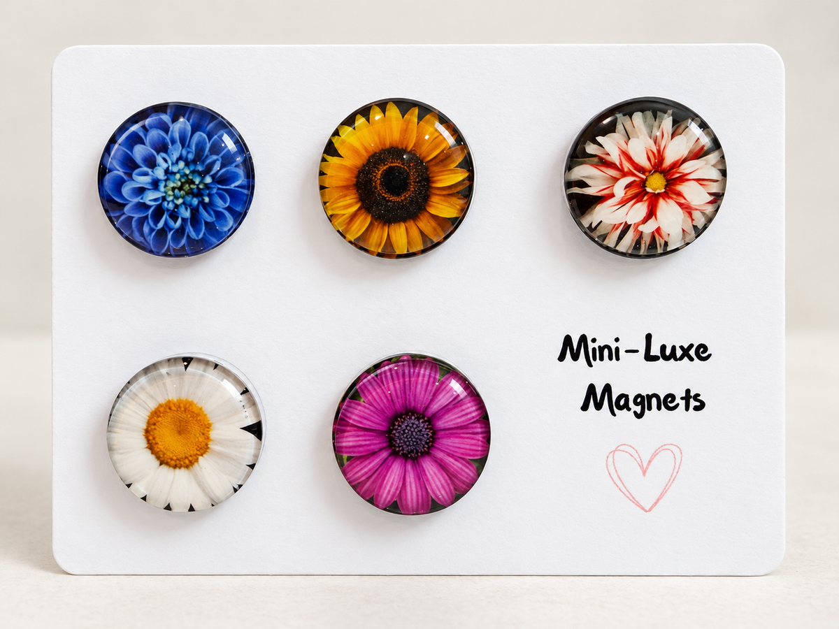 Mini Luxe Magnet Set